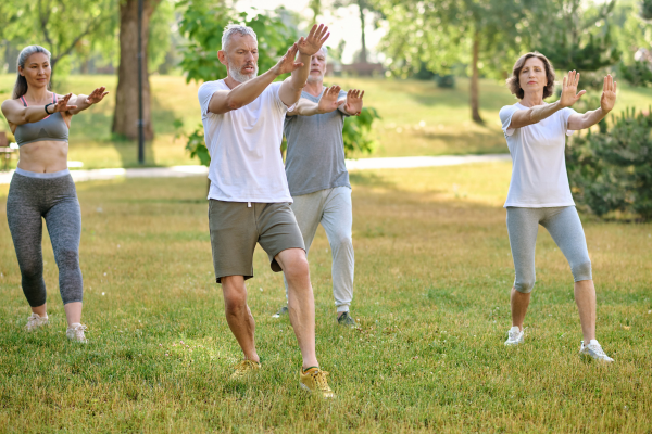 Formation Qi Gong en ligne certifiante