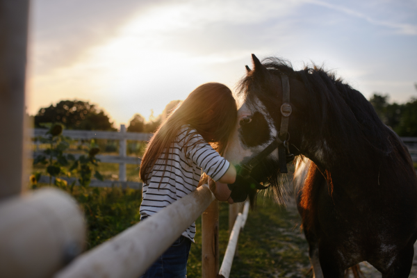 Formation Communication Animale en ligne