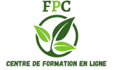 Formation magnétiseur Biarritz - Centre de formation en ligne certifié